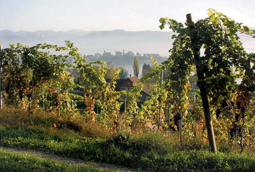 2074-Schloss