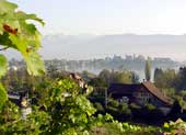 Weinladen / Schlosshgel Rapperswil