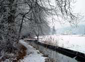 Frost Frost